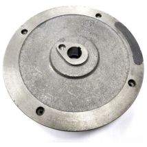 Castelgarden Magnetisches Motorschwungrad Originalteil 118550169/0 Zubehör für Rasenmäher