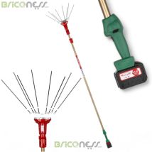 Sbaraglia - Scuotitore Abbacchiatore Elettrico A Batteria Cordless Super 23 Batteria 21v 5,2ah
