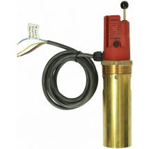 Le Sanitaire - Sécurité de manque d'eau Afriso WMS-WP6- R2 avec raccord fileté r 2'' fm