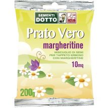 Sdd 40030080 Prato Margheritine, Verde, 12x20x2 cm