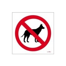 Adhäsionszeichen. Hunde verboten 10x10cm rd46633
