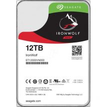 Disco Seagate ST12000VN0008
