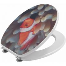 Kiamami Valentina - Seat Wc En Clown 3D Decoration Fish