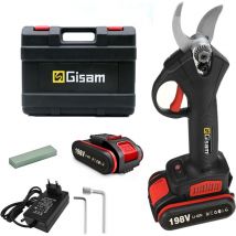 Gisam - Secadores eléctricos 21V 2 baterías 30mm Tijeras para podar paisajismo para árboles frutales