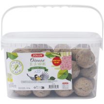 Palline di grasso per uccelli 90gr 35 pz Zolux