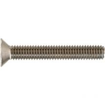 Qualfast - M6X12 Security Countersunk Screw 2-Holes A2- you get 5