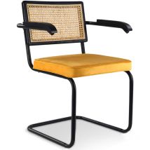 Privatefloor - Sedia da pranzo con braccioli - Rivestita in velluto - Legno e rattan - Puila