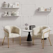 Wishdor - Set di 2 sedie da pranzo, sedia da svago leggera di lusso con gambe di supporto in metallo, beige