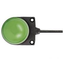 Segnalatore luminoso led LH1D-D2HQ4C30G LH1D-D2HQ4C30G Verde Luce continua 24 v/dc, 24 v/ac - Idec