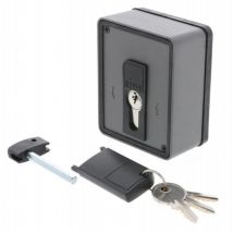 Pujol - Selettore a Chiave Con Sblocco Per Serranda Serrande Wallkey ks Plus PACERE0320