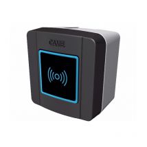 Selettore Transponder Came Selr1ndg 806sl-0110 Sostituito 806sl-0300 Ex 001tsp01