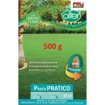 Seme per Prato Pratico 500 gr - 1 Kg Olter size 1 Kg