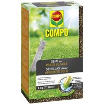 Seme Prato Al Sole Tappeto Erboso Per Terreni Secchi Ed Esposti Al Sole -1 Kg
