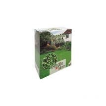 Seme prato trifoglio repens nano