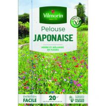 Vilmorin - Pelouse Japonaise - Mélange Fleurs Annuelles