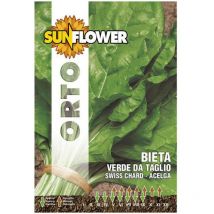 Sementi Bietola Costa Da Taglio Sunflower