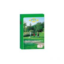 Prato Calpestabile 1000 g