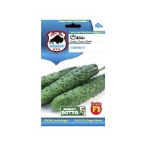 Cetriolo Corinto F1 – Semi di ortaggi – 8006555074109 – 18-20 cm, Resistente al virus del mosaico – Sementi Dotto