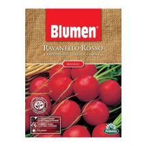 Sementi di Ravanello Rosso biologici orto giardino semi seeds Blumen
