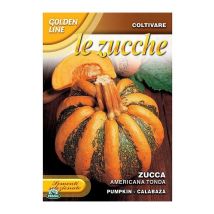 Sementi di zucca americana tonda orto giardino semi seeds