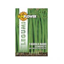 Sementi Fagiolo Nano Slenderette Sunflower