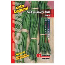 Semi Fagiolo Rampicante – 011589 – Pianta annuale alta 160/180 cm, bacelli verdi 30/35 cm, ciclo vegetativo 80/85 giorni – Metro
