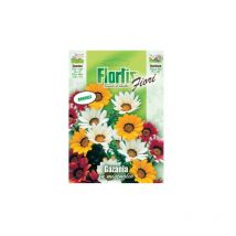 Semi di Gazania Nana Compatta Mix