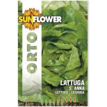 Sementi Lattuga Sant'Anna Sunflower