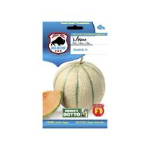 Melone Esador F1 – Semi di ortaggi – Peso medio 1,4 – 1,6 Kg – Semina da aprile a giugno – Raccolta da giugno a settembre