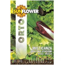 Sementi Misticanza Quattro Stagioni Sunflower