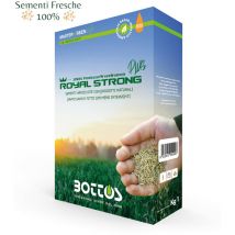 BOTTOS - ROYAL STRONG PLUS / 1 Kg - Sementi per prato