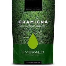 Sementi Per Tappeto Erboso Sunny 1/5/15 kg Emerald size 5 Kg