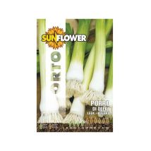 Porro di Delft – Sementi per orto – Gambo bianco grosso e lungo, foglie verdi scure – 4g