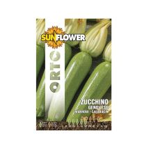 Sementi Zucchino Genovese – 7g – Garanzia di germinabilità 3 anni – Sunflower