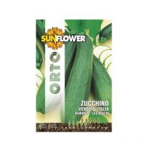 Sementi Zucchino Verde Italia Sunflower