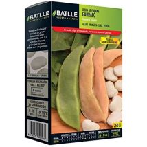 Fagiolo enrame – Semi di ortaggi – Semillas Batlle – 020545G250