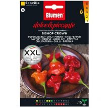 Semi di peperoncino Bishop Crown
