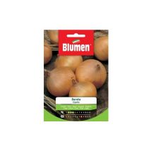Graines d'oignon doré – Oignon doré – Jaune doré, Toupie, Gros et ferme, Blanc ivoire, Goût prononcé – Jardin piscine