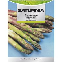 Semi di asparagi da giardino