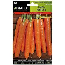 Semi di carota - Semillas Batlle