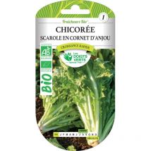 Semi di cicoria scarola in cono d'Anjou bio Le Dita Verdi