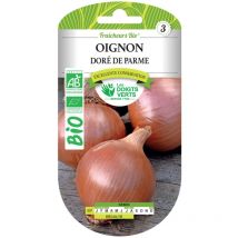 Semi di cipolla dorata di Parma bio Le Dita Verdi