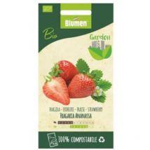 Semi di fragola bio Blumen