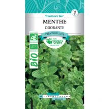 Semi di menta odorante bio i Dita Verdi