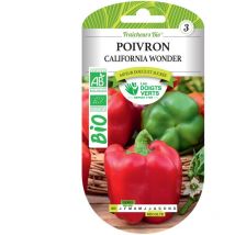 Semi di peperone California Wonder bio i Dita Verdi