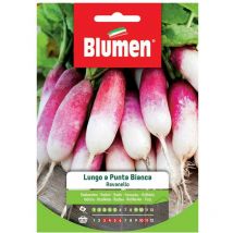 Semi di ravanello lungo punta bianca Blumen