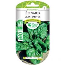 Semi di spinacio gigante invernale bio Le Dita Verdi