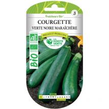 Semi di zucchina verde nera orticola bio i Disegni Verdi