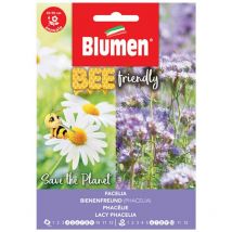 Semi phacelia tanacetif. Blumen