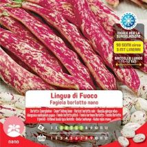 Graines de Haricot Borlotto Nain Langue de Feu en Maxi Sachet